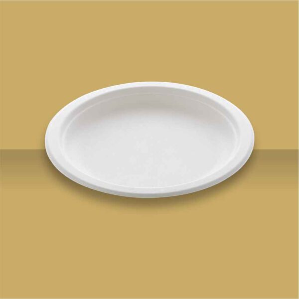 10" Plain Round Plate