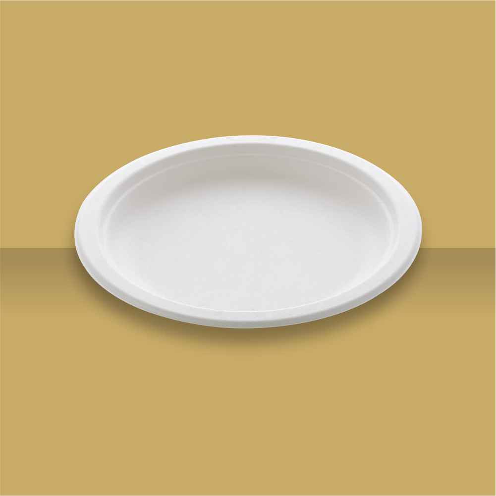 10" Plain Round Plate