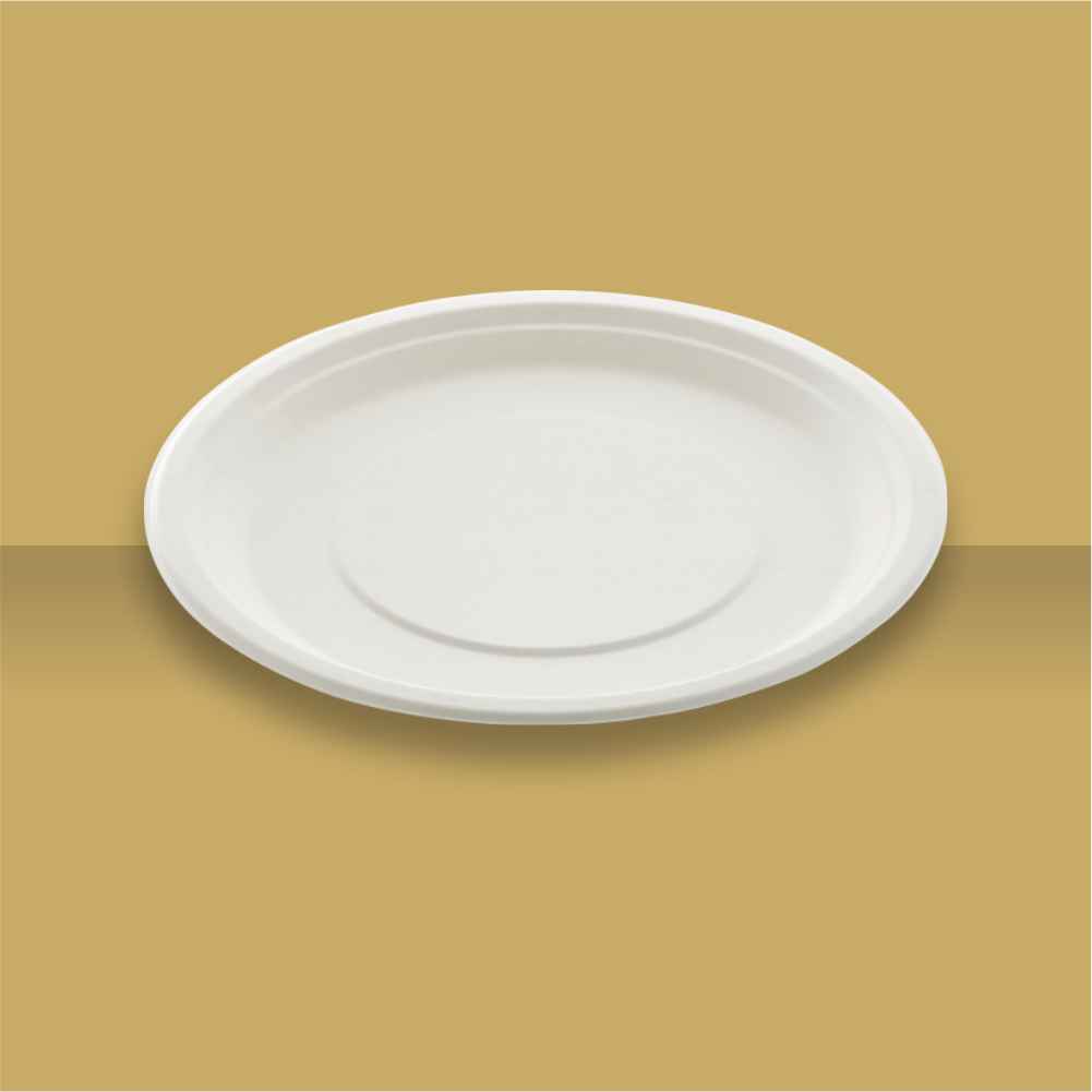 11" Plain Round Plate