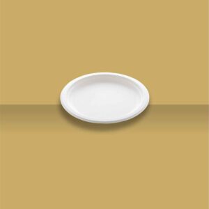 6" Plain Round Plate