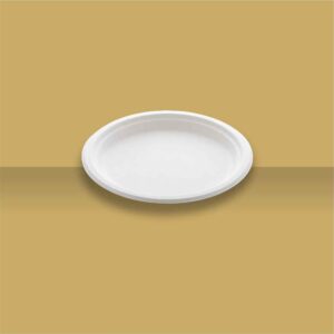 7" Plain Round Plate