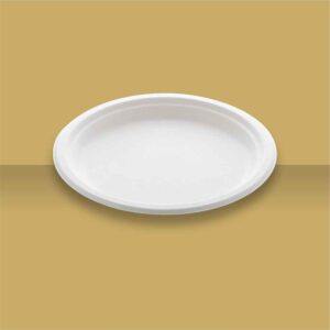 9" Plain Round Plate