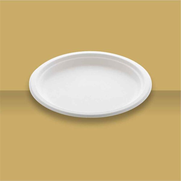 9" Plain Round Plate