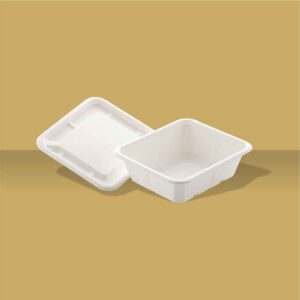 Rectangular Food Container