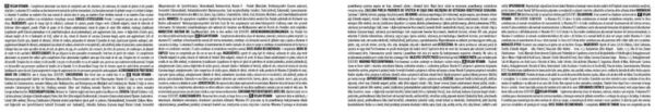Vegan Vitamin - Image 2