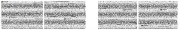 ANTIOXIDANTS - Image 2
