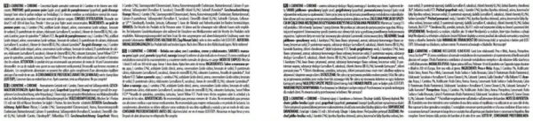 L-CARNITINE + CHROME - Image 2