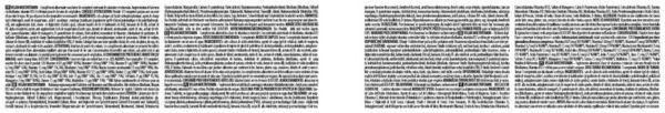 VEGAN MULTIVITAMIN - Image 2