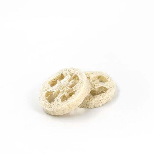 LUFFA - Image 4