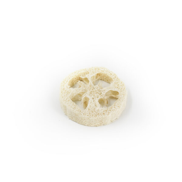 LUFFA - Image 5