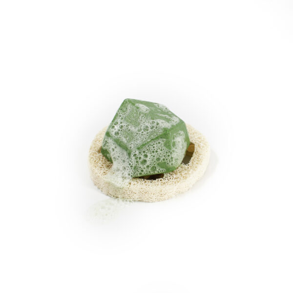 LUFFA - Image 6